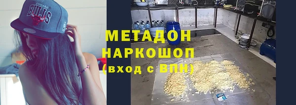 индика Богданович